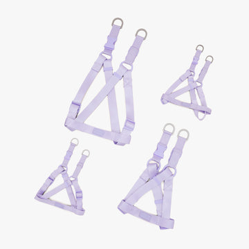 Dog Harness - VIOLA | สายรัดหน้าอกสุนัข สีม่วง