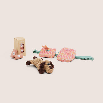 PRYNWAN PET ESSENTIALS SET  | ชุดถุงเก็บมูลสัตว์ พร้อมกระเป๋าแบบพกพา สีส้ม Set 2