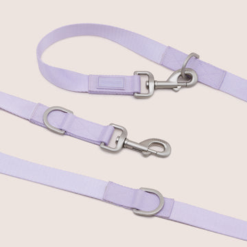 Dog Leash - VIOLA | สายจูง สัตว์เลี้ยง สีม่วง